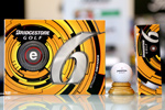 Bridgestone e6  Ball