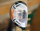 Ping G10 TFC570H
 Utility